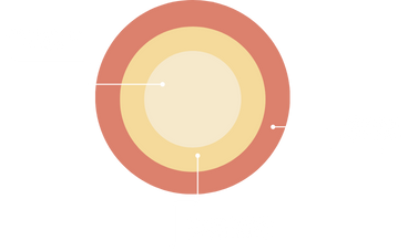 Diagrama de propuesta de valor con las fases Descubrimos tu ADN, Construimos la historia madre y Afinamos para influir